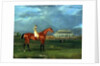 Memnon with William Scott Up, 1825 by John Frederick Herring Snr
