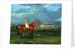 Memnon with William Scott Up, 1825 by John Frederick Herring Snr