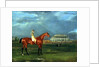 Memnon with William Scott Up, 1825 by John Frederick Herring Snr