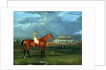 Memnon with William Scott Up, 1825 by John Frederick Herring Snr