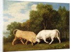 Bulls Fighting, 1786 by George Stubbs