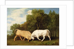 Bulls Fighting, 1786 by George Stubbs