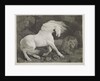 A Horse Affrighted by a Lion by George Stubbs