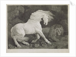 A Horse Affrighted by a Lion by George Stubbs