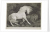 A Horse Affrighted by a Lion by George Stubbs