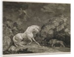 A Horse Affrighted by a Lion by George Stubbs