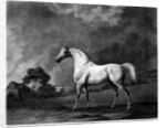 Mambrino by George Stubbs