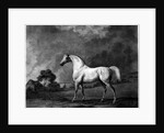 Mambrino by George Stubbs