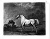 Mambrino by George Stubbs