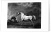 Mambrino by George Stubbs