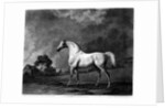 Mambrino by George Stubbs