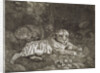 Two Tygers by George Stubbs