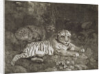 Two Tygers by George Stubbs