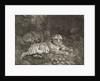 Two Tygers by George Stubbs