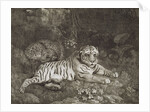 Two Tygers by George Stubbs