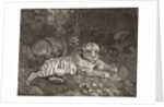 Two Tygers by George Stubbs