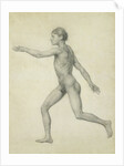 The Entire Human Figure from the Left, lateral view by George Stubbs