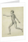 The Entire Human Figure from the Left, lateral view by George Stubbs