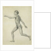 The Entire Human Figure from the Left, lateral view by George Stubbs
