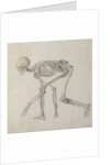 Human Skeleton: Lateral view in Crouching Posture, 18th century by George Stubbs
