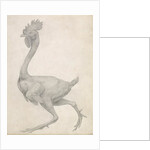 Fowl: Lateral view with Most Feathers Removed by George Stubbs