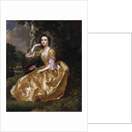 Mrs Mary Chauncey, 1748 by Francis Hayman