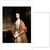 Anne Seymour Damer, 1773 by Joshua Reynolds