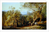 Corfu from Santa Decca, 1862 by Edward Lear