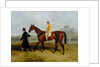 Sir Tatton Sykes Leading in the Horse 'Sir Tatton Sykes', with William Scott Up, 1846 by Harry Hall
