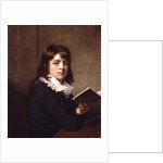 Portrait of a Boy, c.1790 by William Beechey