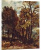 Sketch of a Lane at East Bergholt, c.1810 by John Constable