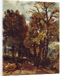 Sketch of a Lane at East Bergholt, c.1810 by John Constable