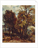 Sketch of a Lane at East Bergholt, c.1810 by John Constable