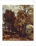 Sketch of a Lane at East Bergholt, c.1810 by John Constable
