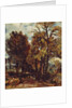 Sketch of a Lane at East Bergholt, c.1810 by John Constable