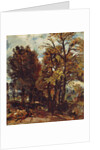 Sketch of a Lane at East Bergholt, c.1810 by John Constable