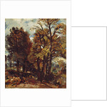 Sketch of a Lane at East Bergholt, c.1810 by John Constable