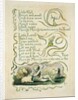 Spring by William Blake
