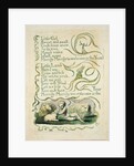 Spring by William Blake