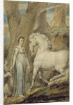 The Horse by William Blake