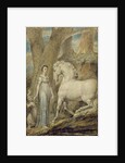 The Horse by William Blake