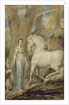 The Horse by William Blake