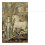 The Horse by William Blake