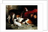 A Couple of Lord Henry Bentinck's Foxhounds with a Terrier, c.1845 by William Barraud