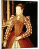 Portrait of a Woman, 1567 by English School
