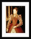 Portrait of a Woman, 1567 by English School