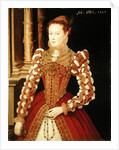 Portrait of a Woman, 1567 by English School