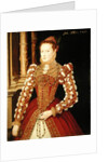 Portrait of a Woman, 1567 by English School