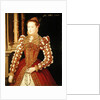 Portrait of a Woman, 1567 by English School