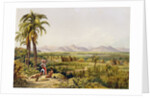 Pirara and Lake Amucu, The Site of Eldorado, printed by Georges Barnard by Charles Bentley